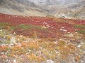 AIG_DIBONA_0031