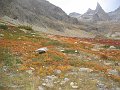 AIG_DIBONA_0032