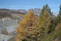 CHARDONNET__0011